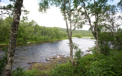 LAUKHELLE LAKSELVA