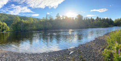 STJØRDALSELVA – NESSIØRA